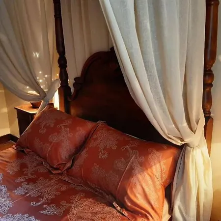 Maison De Nostradamus*** Occitanie Insolite 度假居