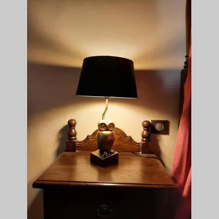 Maison De Nostradamus*** Occitanie Insolite *