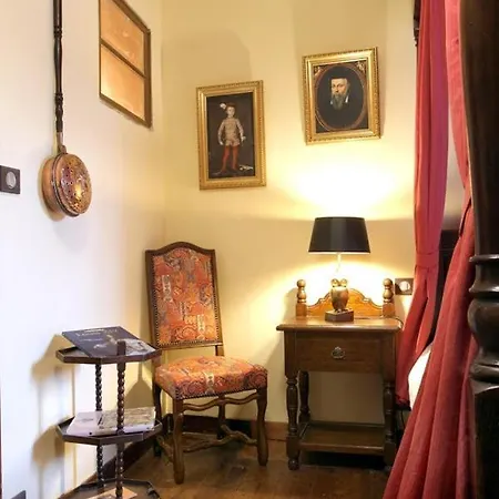Hébergement de vacances Maison De Nostradamus*** Occitanie Insolite *